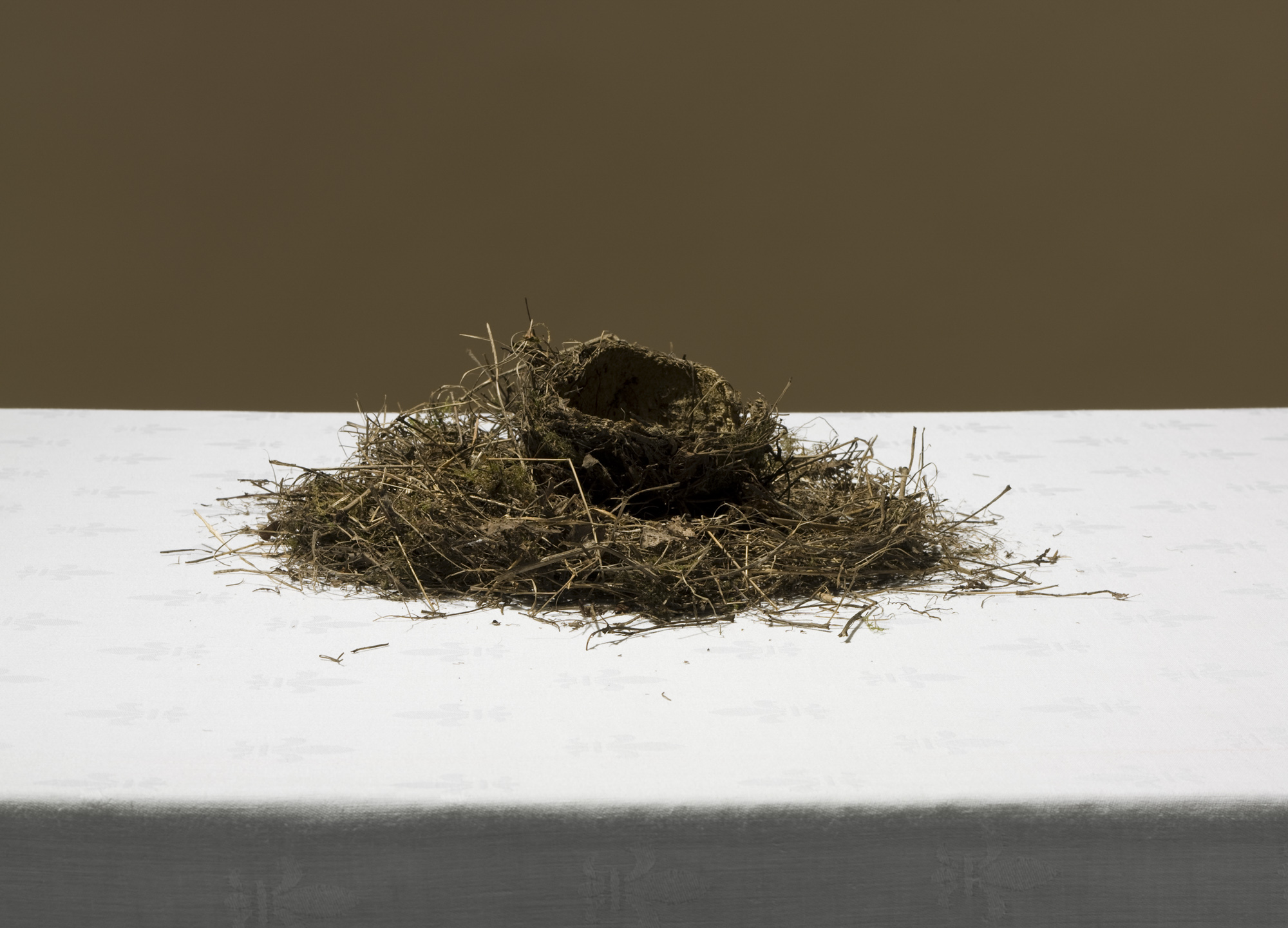 <span class='caption-left'></span><span class='caption-right'>2010</span>