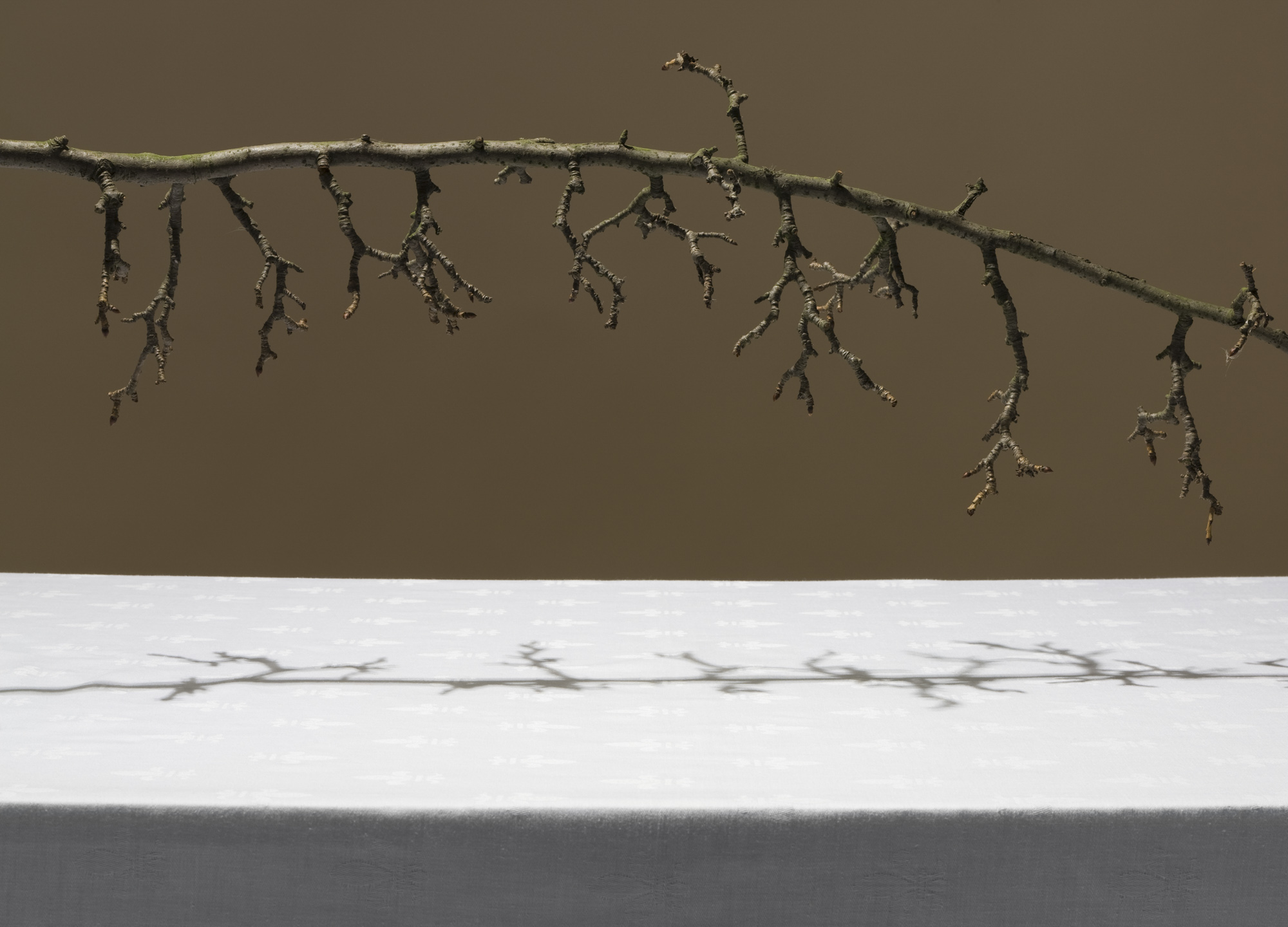 <span class='caption-left'></span><span class='caption-right'>2010</span>