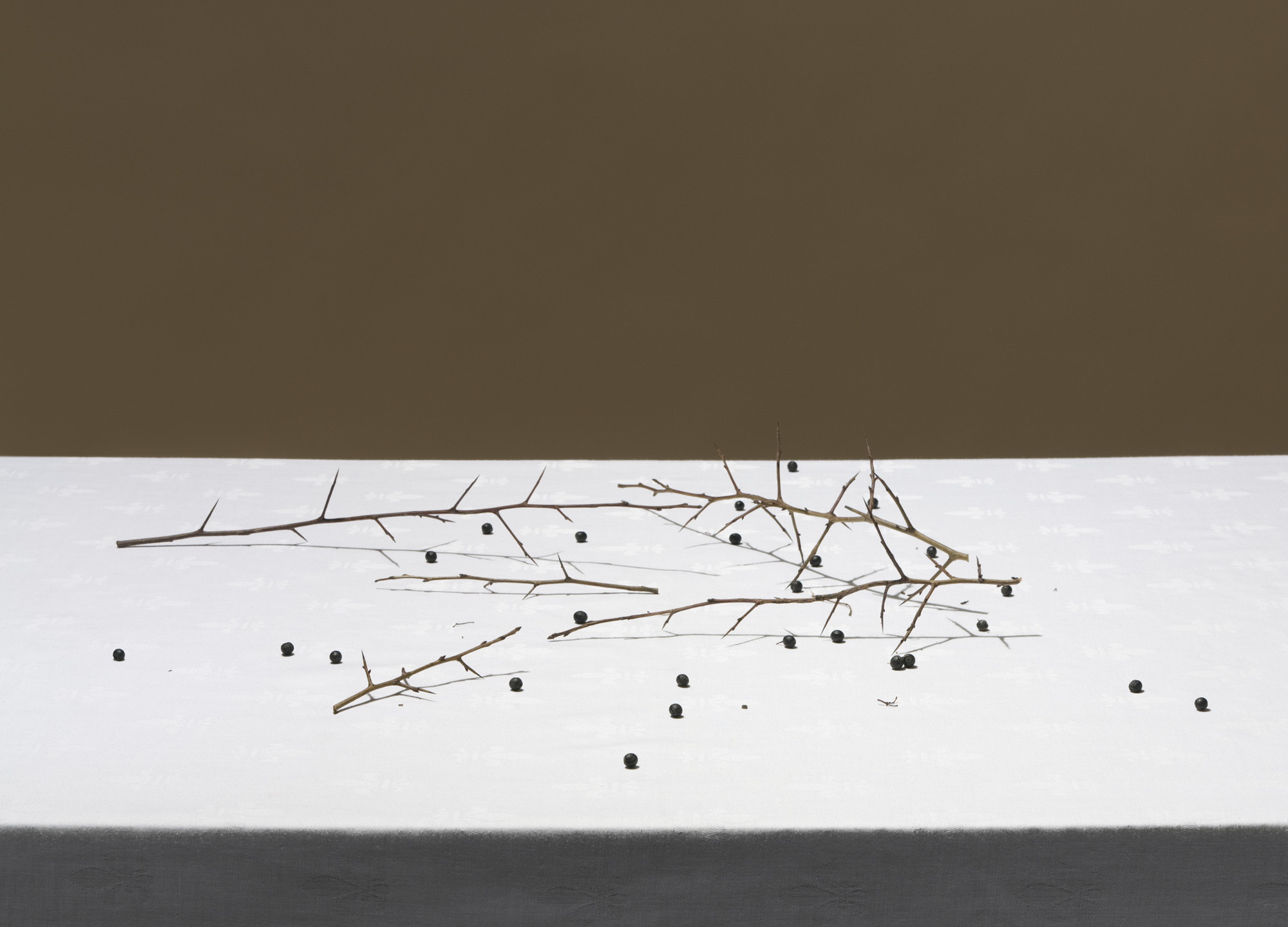 <span class='caption-left'></span><span class='caption-right'>2010</span>