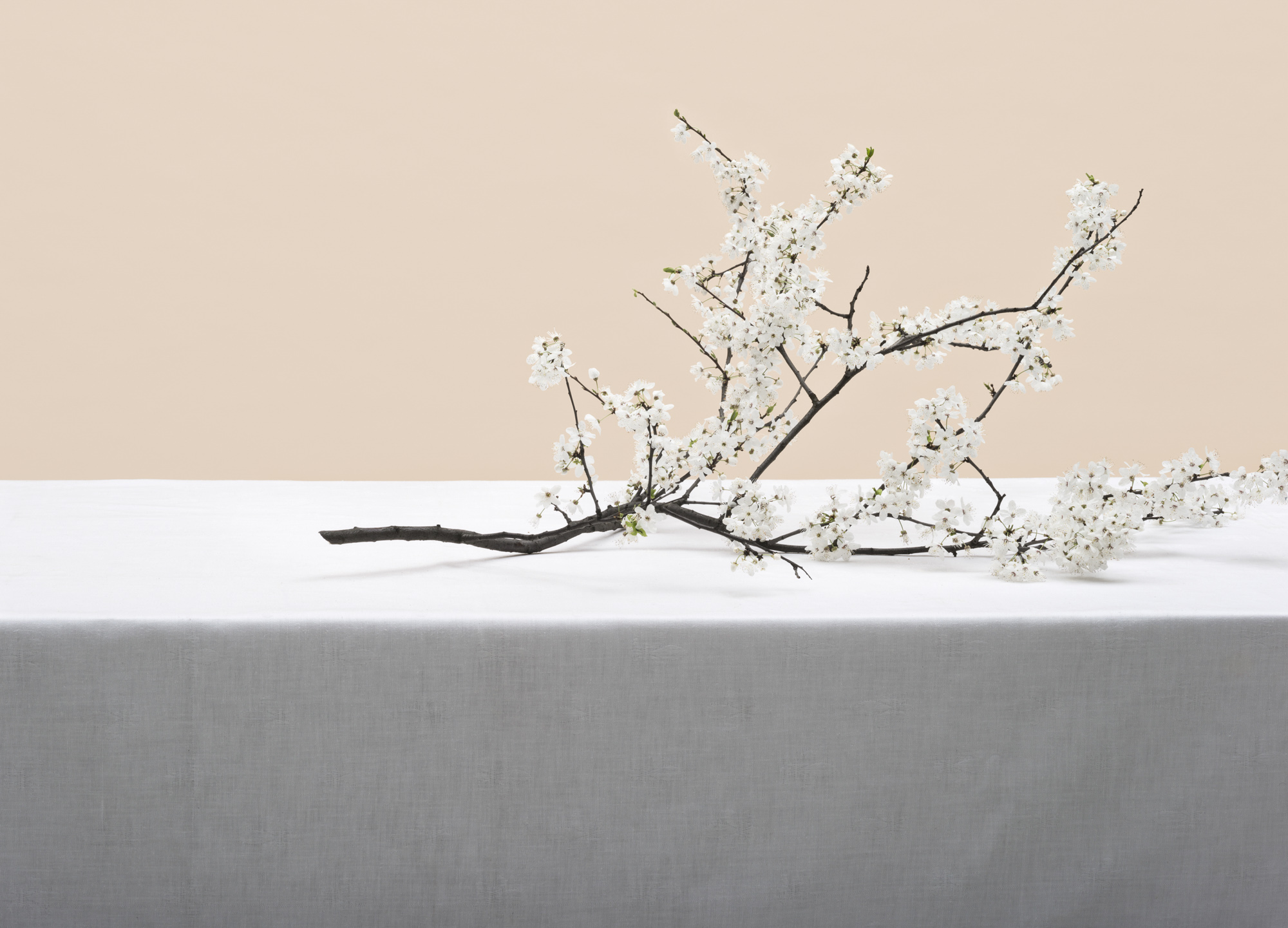 <span class='caption-left'></span><span class='caption-right'>2016</span>