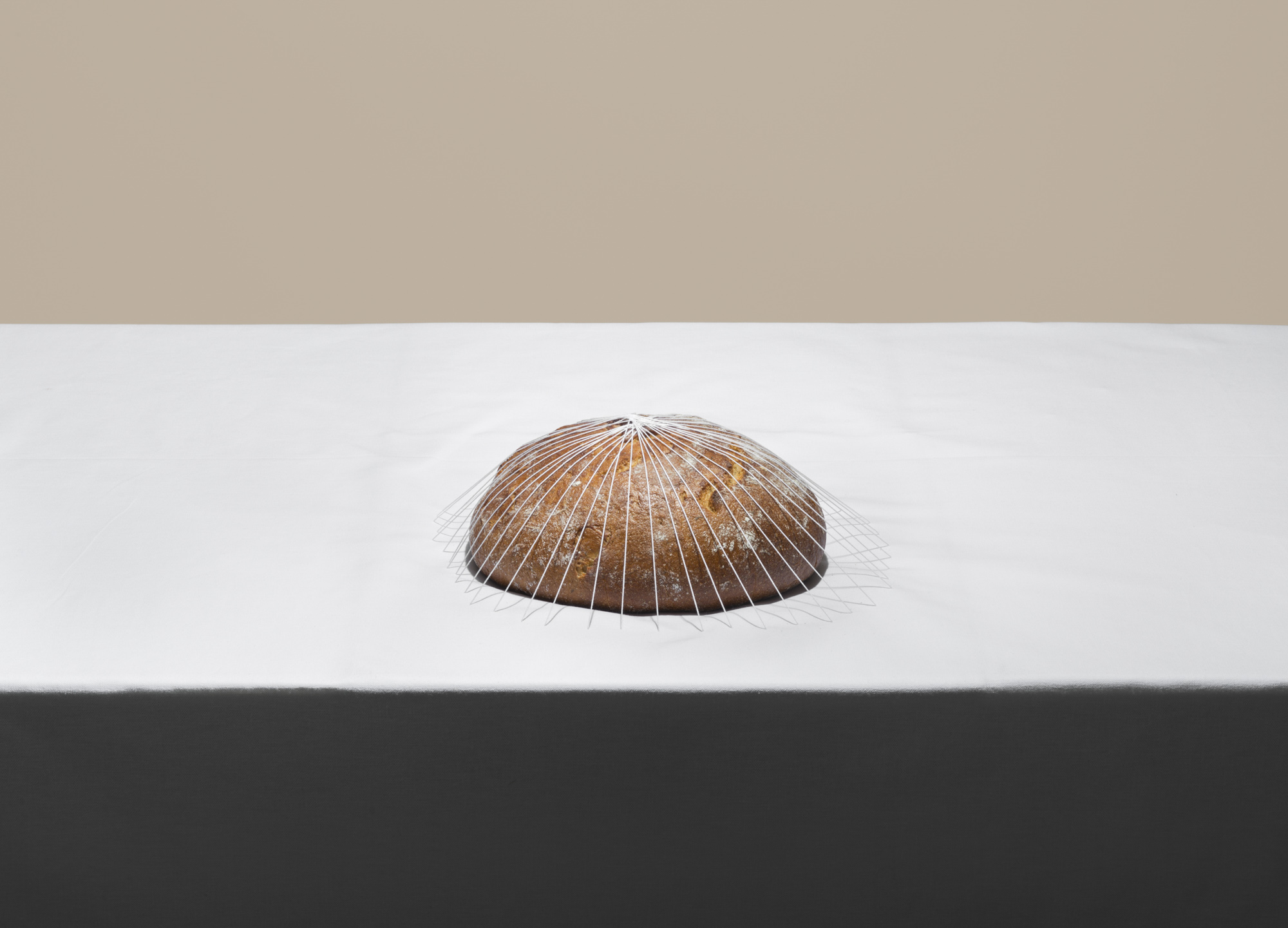 <span class='caption-left'></span><span class='caption-right'>2016</span>